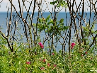 48775CrLeShUsm - Celebrating Andy's 17th birthday with a bike ride along the Waterfront Trail.jpg